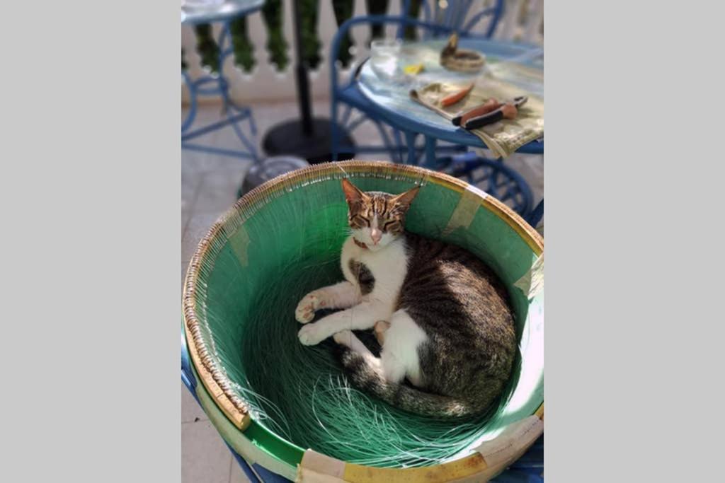 Im Herzen Von Koroni Esterno foto